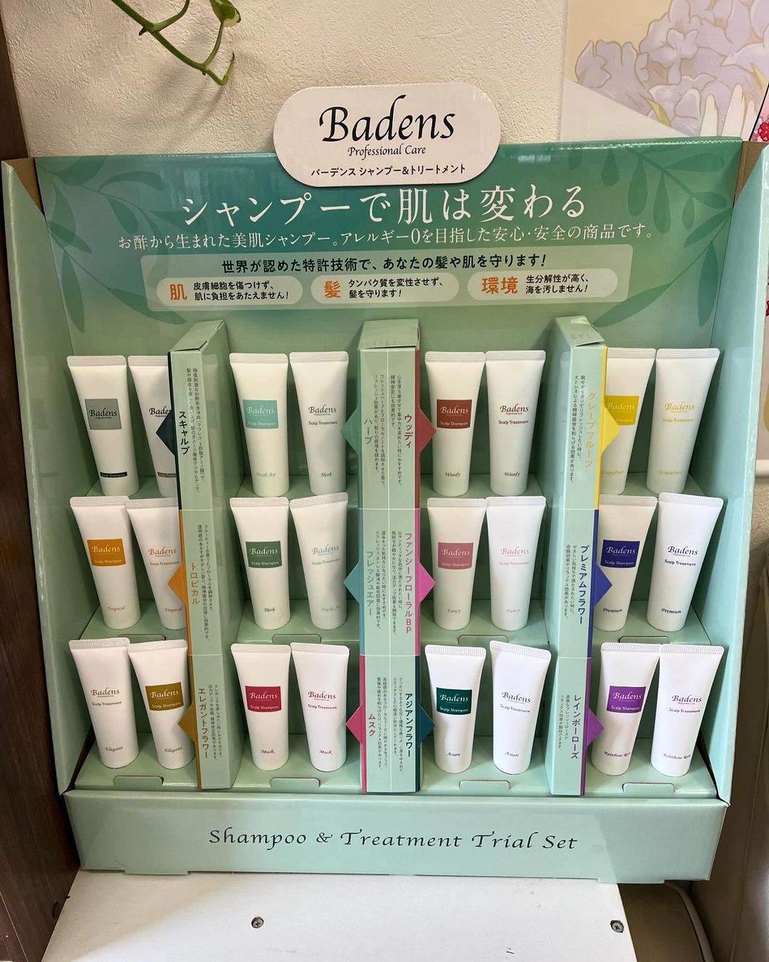 バーデンスのトライアルセットお披露目です！ | お知らせ | 新着情報