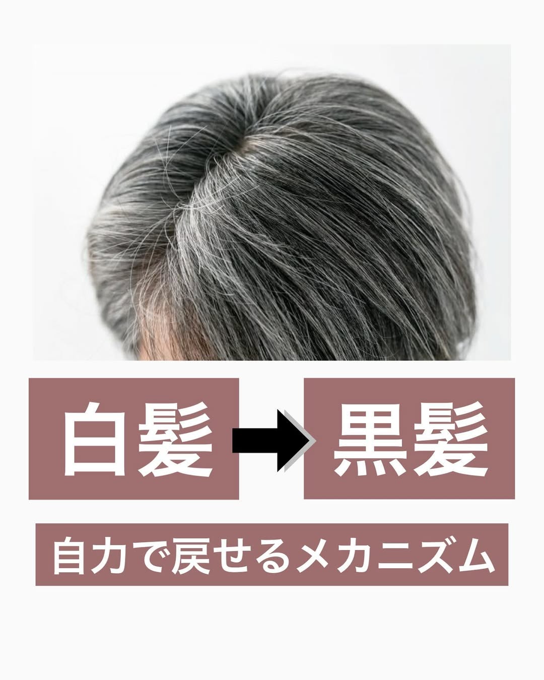 【白髪】→【黒髪】自力で戻せるメカニズム！の画像